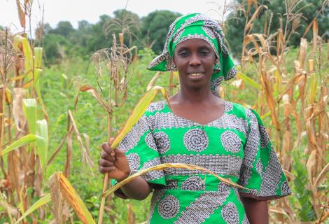 Image of Fatou standing among crops, looking at the camera 